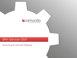 BPM-Software 2009
Auswertung der Anwender-Befragung
 