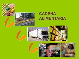 CADENA
ALIMENTARIA

 