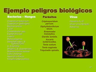 Ejemplo peligros biológicos
Bacterias – Hongos
Clostridrium botulinum.
Clostridrium perfringers.
Bacillus cereus.
E.Coli.
Campilobacter spp.
Escherichia coli.
Listeria.
Monocytogenes.
Salmonella spp ( S.
Typhimurium).
S. Enteriditis.
Shigella ( S. dysenteriae).
Staphylococcus aureus.
Vibrio cholerae.
Aspergillus flavus.
Yersenia enterocolítica.

Parásitos
Criptosporidum
parvum.
Diphylloborthrium
latum.
Entamoeba
histolytica.
Giardia lamblia.
Ascaris
lumbricoides.
Tenia solium.
Tenía saginata.
Triquinella spiralis.

Virus
Hepatitis A y E.
Grupo virus Norwalk.
Rotavirus.

47

 