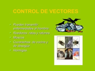 CONTROL DE VECTORES
 Pueden transmitir
enfermedades al hombre:
 Roedores: ratas y ratones
 Moscas
 Cucarachas: de cocina y
de desagüe
 Hormigas

 