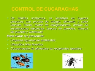 CONTROL DE CUCARACHAS
 De hábitos nocturnos, se localizan en lugares
precarios que provea de refugio, alimento y calor
(cocina, horno, motor de refrigeradoras, ductos de
instalaciones eléctricas, huecos en paredes, marcos
de puertas y ventanas)
Para evitar su presencia:
 Limpieza rigurosa de ambientes
 Utensilios bien lavados
 Conservación de alimentos en recipientes tapados

 
