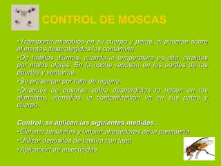 CONTROL DE MOSCAS
Transporta microbios en su cuerpo y patas, al posarse sobre
alimentos desprotegidos los contamina.
De hábitos diurnos, cuando la temperatura es alta, atraídos
por malos olores. En la noche reposan en los bordes de las
puertas y ventanas.
Se presentan por falta de higiene.
Después de posarse sobre desperdicios lo hacen en los
alimentos, utensilios, la contaminación va en sus patas y
cuerpo.
Control: se aplican las siguientes medidas :
Eliminar basurales y limpiar alrededores de la panadería
Utilizar depósitos de basura con tapa
Aplicación de insecticidas

 