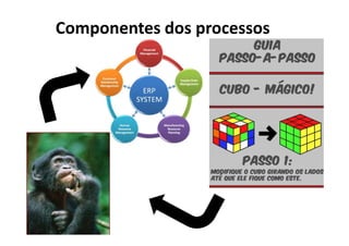 Componentes dos processos
 