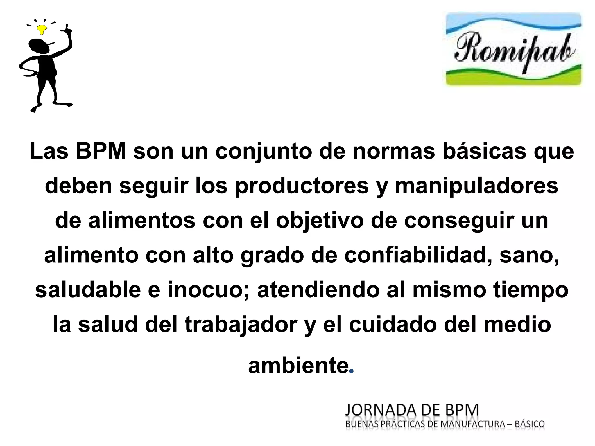 Bpm básico palirro | PPT