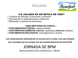 Bpm básico palirro | PPT