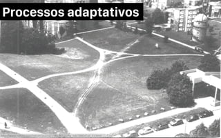 Processos adaptativos
mauriciobitencourt.comh"p://www.nature.com/nature/journal/v388/n6637/ﬁg_tab/388047a0_F1.html	
 