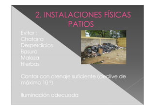Bpm de fesc | PDF
