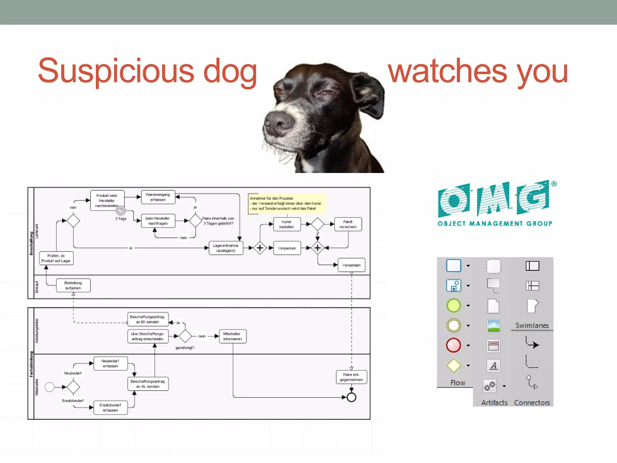 Suspicious dog watches you