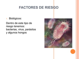 FACTORES DE RIESGOBiológicos:Dentro de este tipo de riesgo tenemos: bacterias, virus, parásitos y algunos hongos