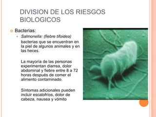 DIVISION DE LOS RIESGOS BIOLOGICOSBacterias:Salmonella: (fiebre tifoidea)bacterias que se encuentran en la piel de algunos animales y en las heces.La mayoría de las personas experimentan diarrea, dolor abdominal y fiebre entre 8 a 72 horas después de comer el alimento contaminado. 	Síntomas adicionales pueden incluir escalofríos, dolor de cabeza, nausea y vómito