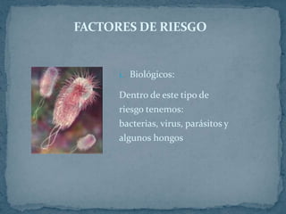 FACTORES DE RIESGOBiológicos:Dentro de este tipo de riesgo tenemos: bacterias, virus, parásitos y algunos hongos