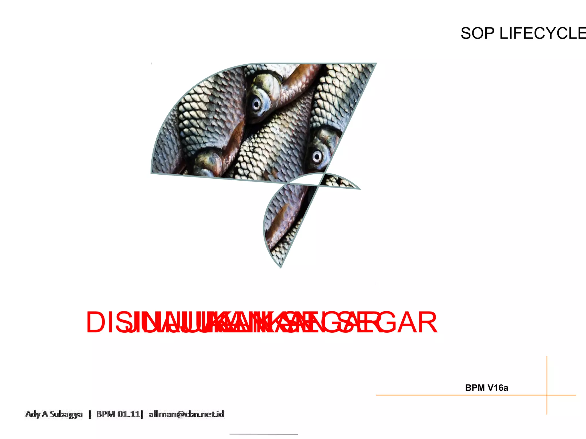 SOP LIFECYCLE




DISINIJUAL IKAN SEGAR
   JUAL IKAN SEGAR
       JUAL IKAN
         IKAN
                        BPM V16a
 