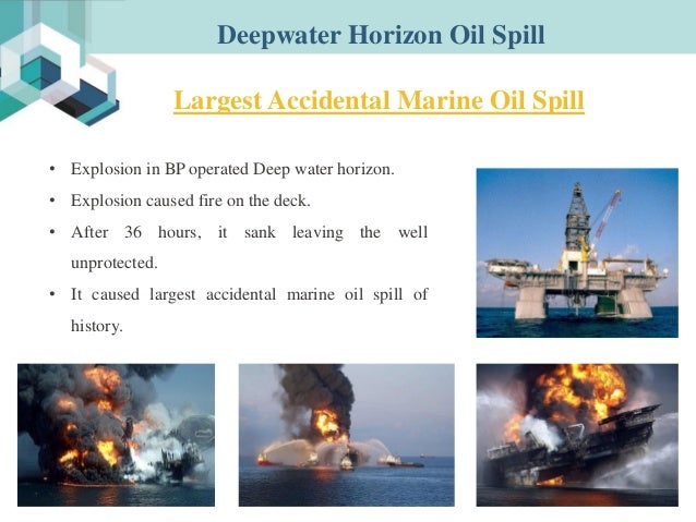case study deepwater horizon oil spill