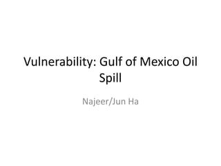 Vulnerability: Gulf of Mexico Oil Spill Najeer/Jun Ha 