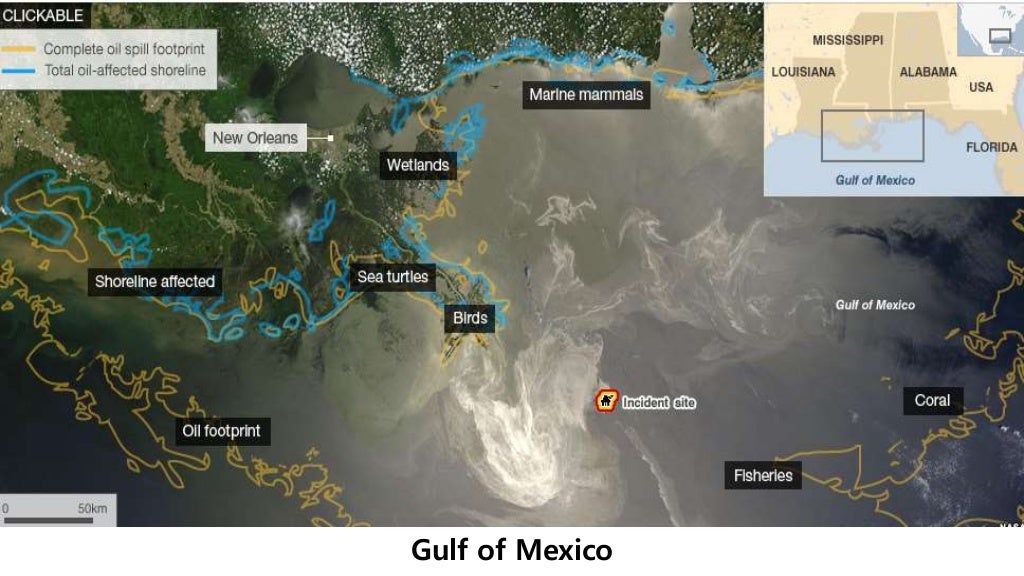 Recent oil spill articles picture