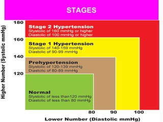 STAGES
 