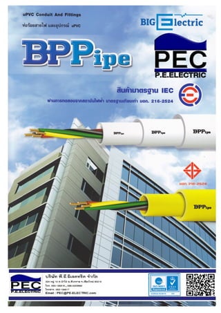 BPPipe Conduit and accessories