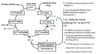 Role of cytochrome P450 in drug interactions,Drug interactions linked ...