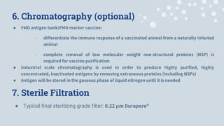 Generic Manufacturing Process of Foot & Mouth Disease Vaccines | PPTX