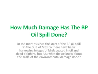 How Much Damage Has The BP Oil Spill Done? In the months since the start of the BP oil spill in the Gulf of Mexico there have been harrowing images of birds coated in oil and dead dolphins, but just what do we know about the scale of the environmental damage done? 