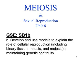 1
MEIOSIS
&
Sexual Reproduction
Unit 6
GSE: SB1b
b. Develop and use models to explain the
role of cellular reproduction (including
binary fission, mitosis, and meiosis) in
maintaining genetic continuity.
 