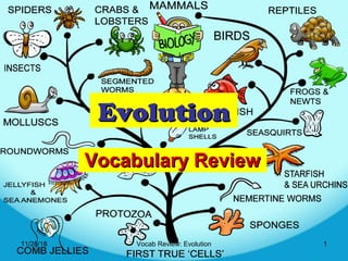 11/28/18 Vocab Review: Evolution 1
EvolutionEvolution
Vocabulary ReviewVocabulary Review
 