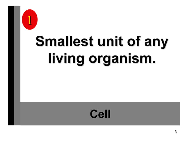 Cell Structure Vocab Review | PPT