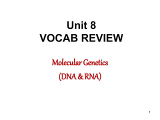 1
Unit 8
VOCAB REVIEW
Molecular Genetics
(DNA & RNA)
 