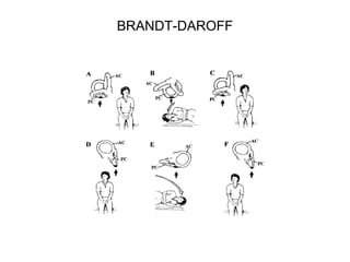 BRANDT-DAROFF

 