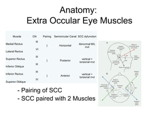 Anatomy:
Extra Occular Eye Muscles
Muscle
Medial Rectus
Lateral Rectus
Superior Rectus
Inferior Oblique
Inferior Rectus
Superior Oblique

CN

Pairing

Semicircular Canal SCC dyfunction

III
}

Horizontal

Abnormal M/L
mvt

}

Posterior

vertical +
torsional mvt

}

Anterior

vertical +
torsional mvt

VI
III
III
III
IV

- Pairing of SCC
- SCC paired with 2 Muscles

 