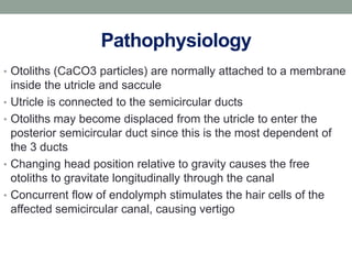 Pathophysiology
• Otoliths (CaCO3 particles) are normally attached to a membrane
inside the utricle and saccule
• Utricle is connected to the semicircular ducts
• Otoliths may become displaced from the utricle to enter the
posterior semicircular duct since this is the most dependent of
the 3 ducts
• Changing head position relative to gravity causes the free
otoliths to gravitate longitudinally through the canal
• Concurrent flow of endolymph stimulates the hair cells of the
affected semicircular canal, causing vertigo
 