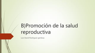 B)Promoción de la salud
reproductiva
Luis David Rodríguez gamboa
 