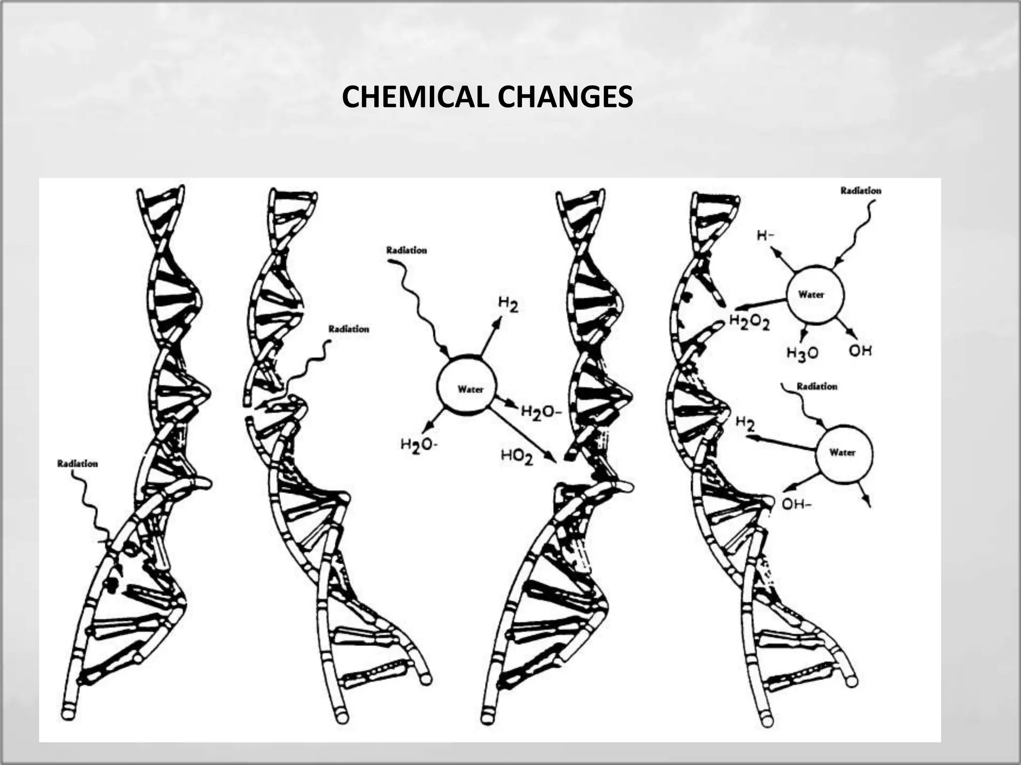 CHEMICAL CHANGES
 