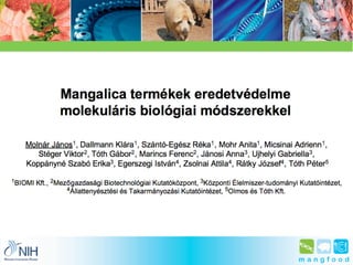 Molnár János - Mangalica termékek eredetvédelme molekuláris biológiai módszerekkel - Budapest Science Meetup Május