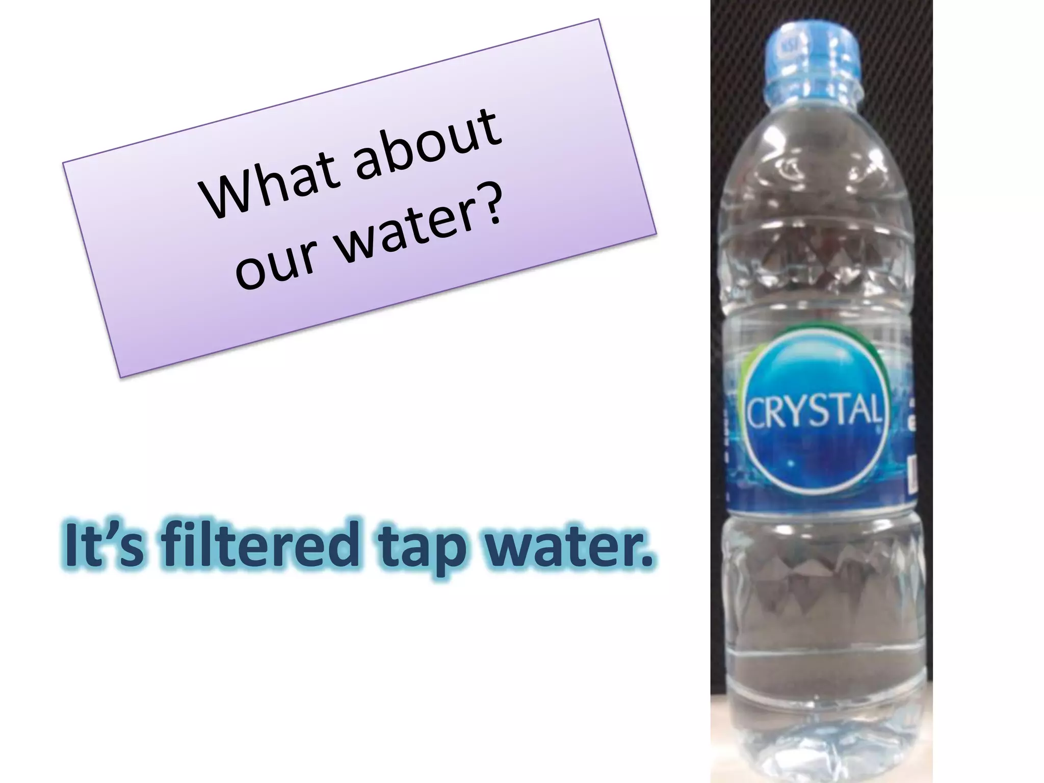 Pledge to go Meatless on MondaysISB Earth Week 2011