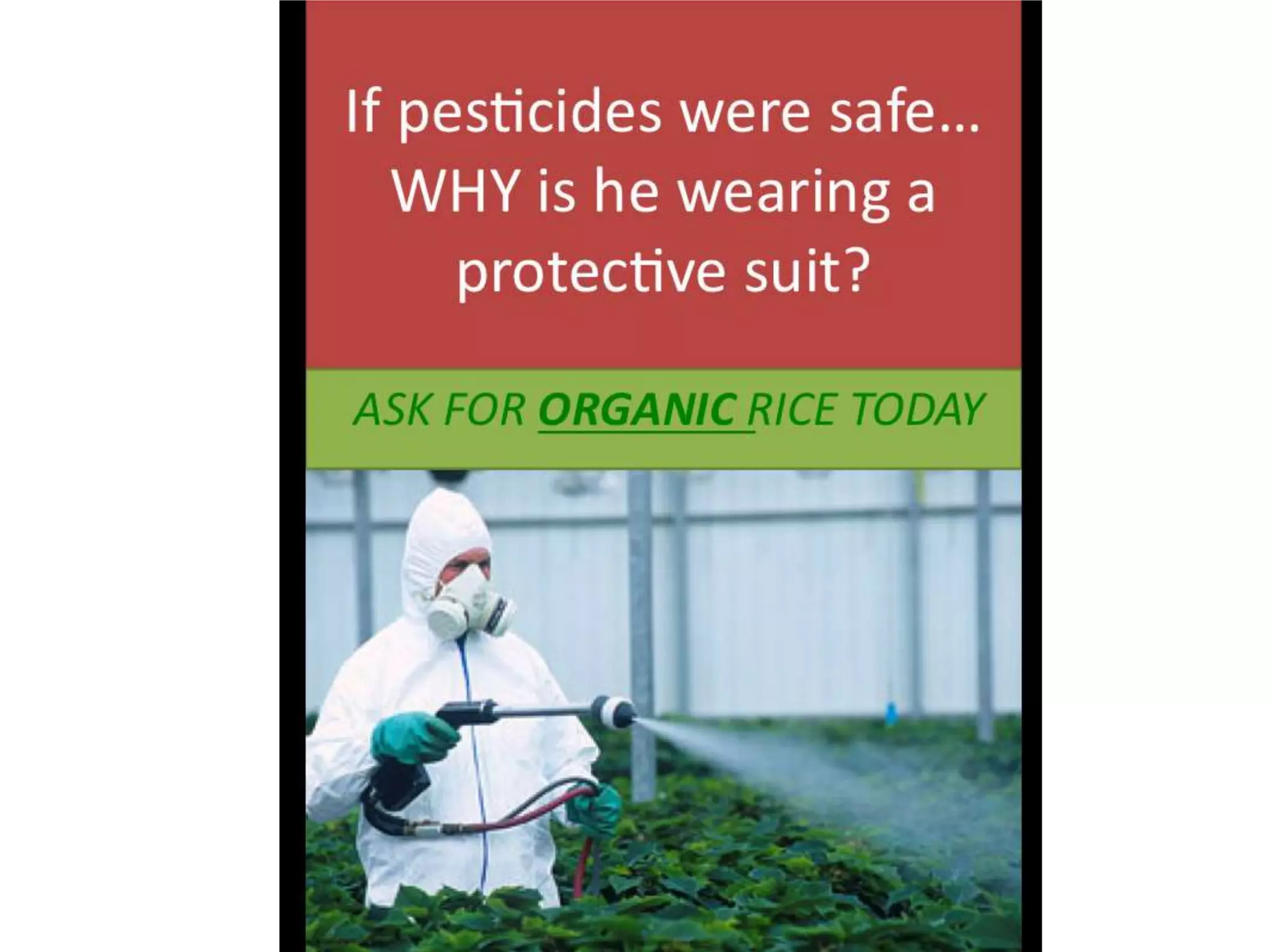 April 22: International Earth DayApril 25-29: ISB Earth WeekISB Earth Week 2011