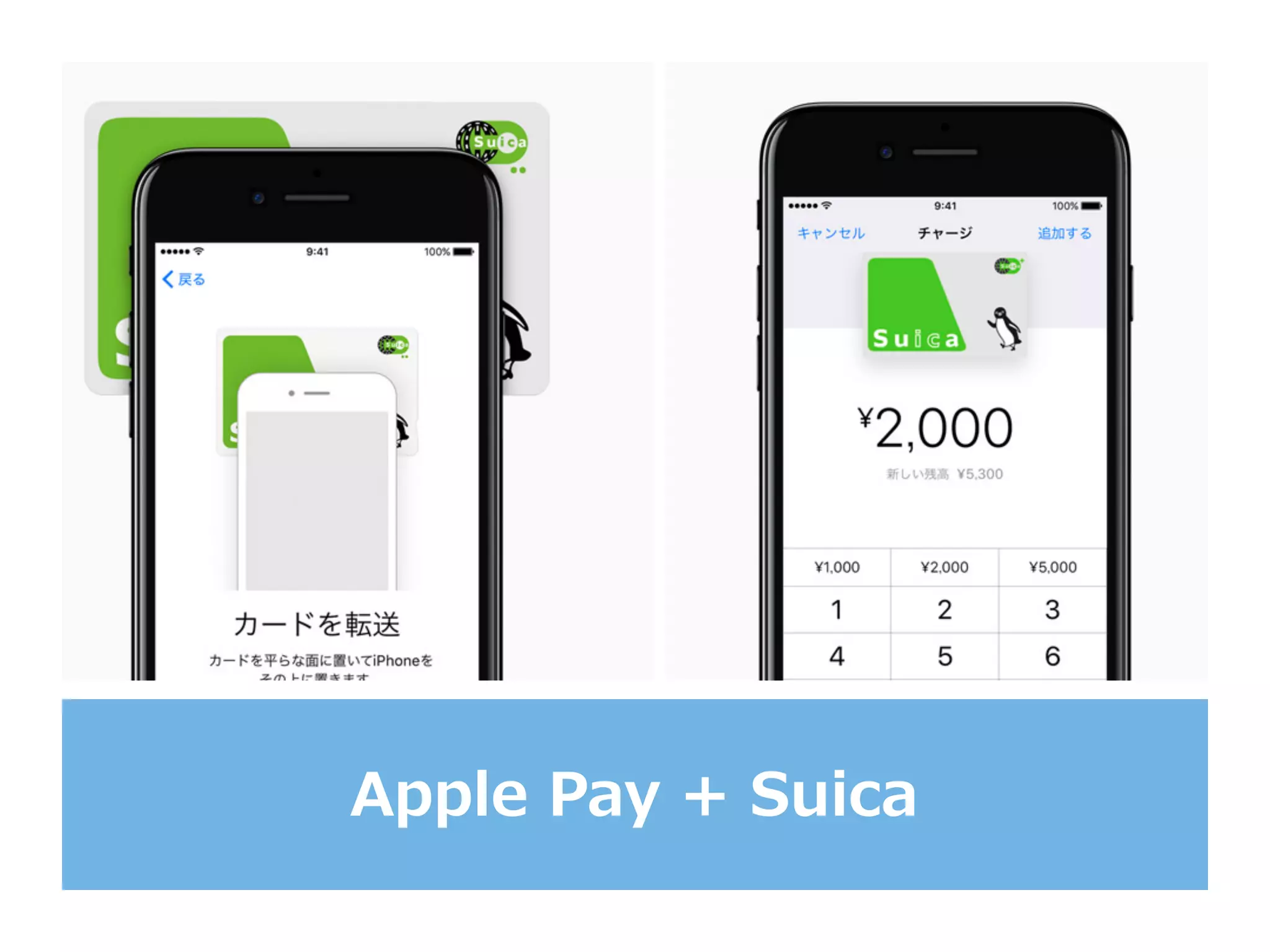 Apple  Pay  +  Suica
 