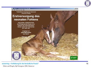 eLearning – Fortbildung für die tierärztliche Praxis? 16
Ehlers und Wagels, BpT-Kongress 2008, Hannover
 