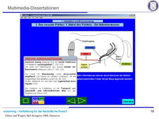 eLearning – Fortbildung für die tierärztliche Praxis? 18
Ehlers und Wagels, BpT-Kongress 2008, Hannover
Multimedia-Dissertationen
 