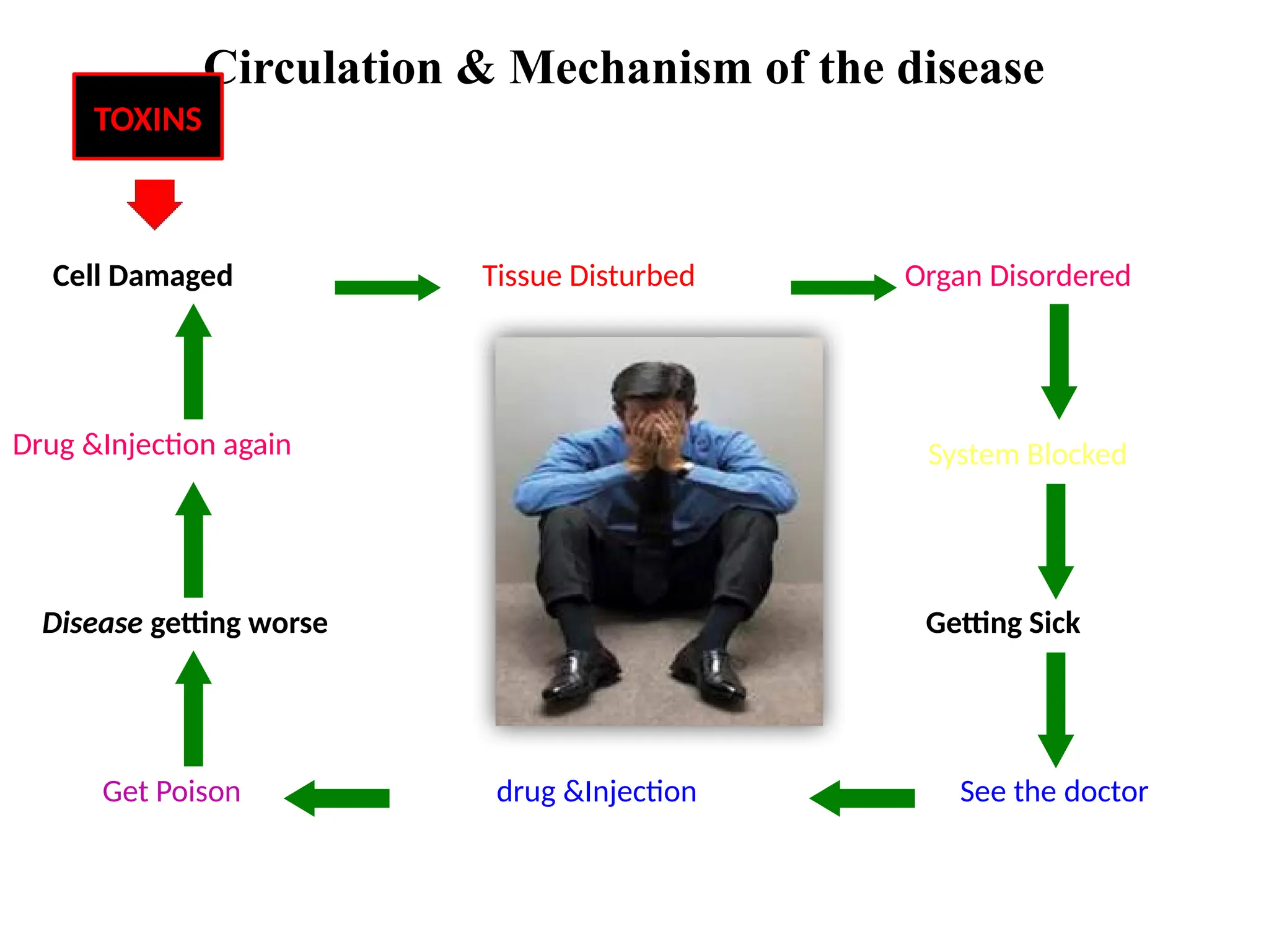 Circulation & Mechanism of the disease
Cell Damaged Tissue Disturbed Organ Disordered
System Blocked
Getting Sick
See the doctor
drug &Injection
Get Poison
Disease getting worse
Drug &Injection again
TOXINS
 