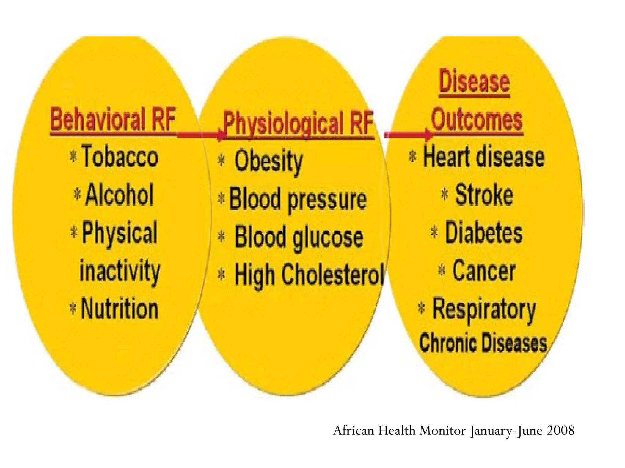 African Health Monitor January-June 2008
 