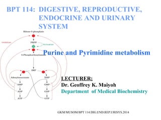 Purine and Pyrimidine metabolism
BPT 114: DIGESTIVE, REPRODUCTIVE,
ENDOCRINE AND URINARY
SYSTEM
LECTURER;
Dr. Geoffrey K. Maiyoh
Department of Medical Biochemistry
GKM/MUSOM/BPT 114:DIG.END.REP.URISYS.2014
 
