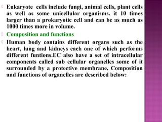  Eukaryote cells include fungi, animal cells, plant cells
as well as some unicellular organisms. it 10 times
larger than a prokaryotic cell and can be as much as
1000 times more in volume.
 Composition and functions
 Human body contains different organs such as the
heart, lung and kidneys each one of which performs
different funtions.EC also have a set of intracellular
components called sub cellular organelles some of it
surrounded by a protective membrane. Composition
and functions of organelles are described below:
 