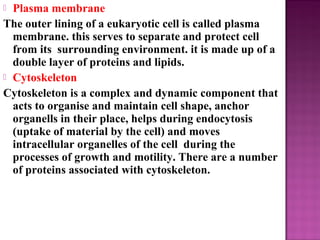  Plasma membrane
The outer lining of a eukaryotic cell is called plasma
membrane. this serves to separate and protect cell
from its surrounding environment. it is made up of a
double layer of proteins and lipids.
 Cytoskeleton
Cytoskeleton is a complex and dynamic component that
acts to organise and maintain cell shape, anchor
organells in their place, helps during endocytosis
(uptake of material by the cell) and moves
intracellular organelles of the cell during the
processes of growth and motility. There are a number
of proteins associated with cytoskeleton.
 