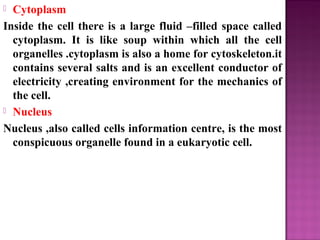  Cytoplasm
Inside the cell there is a large fluid –filled space called
cytoplasm. It is like soup within which all the cell
organelles .cytoplasm is also a home for cytoskeleton.it
contains several salts and is an excellent conductor of
electricity ,creating environment for the mechanics of
the cell.
 Nucleus
Nucleus ,also called cells information centre, is the most
conspicuous organelle found in a eukaryotic cell.
 