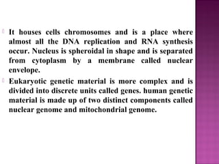  It houses cells chromosomes and is a place where
almost all the DNA replication and RNA synthesis
occur. Nucleus is spheroidal in shape and is separated
from cytoplasm by a membrane called nuclear
envelope.
 Eukaryotic genetic material is more complex and is
divided into discrete units called genes. human genetic
material is made up of two distinct components called
nuclear genome and mitochondrial genome.
 