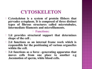  Cytoskeleton is a system of protein fibbers that
pervades cytoplasm. It is composed of three distinct
types of fibrous structures called microtubules,
intermediate filaments and microfilaments.
 Functions:
 1.it provides structural support that determines
shape of the cell .
 2.it functions as an internal frame work which is
responsible for the positioning of various organelles
within the cell.
 3.it functions as a force –generating apparatus that
moves cells from one place to another e.g
.locomotion of sperm, white blood cells.
 