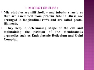  MICROTUBULES :
 Microtubules are stiff ,hollow and tubular structures
that are assembled from protein tubulin .these are
arranged in longitudinal rows and are called proto-
filaments.
 They help in determining shape of the cell and
maintaining the position of the membranous
organelles such as Endoplasmic Reticulum and Golgi
Complex.
 