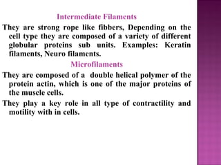 Intermediate Filaments
They are strong rope like fibbers, Depending on the
cell type they are composed of a variety of different
globular proteins sub units. Examples: Keratin
filaments, Neuro filaments.
Microfilaments
They are composed of a double helical polymer of the
protein actin, which is one of the major proteins of
the muscle cells.
They play a key role in all type of contractility and
motility with in cells.
 