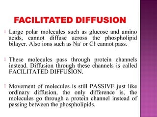  Large polar molecules such as glucose and amino
acids, cannot diffuse across the phospholipid
bilayer. Also ions such as Na+
or Cl-
cannot pass.
 These molecules pass through protein channels
instead. Diffusion through these channels is called
FACILITATED DIFFUSION.
 Movement of molecules is still PASSIVE just like
ordinary diffusion, the only difference is, the
molecules go through a protein channel instead of
passing between the phospholipids.
 